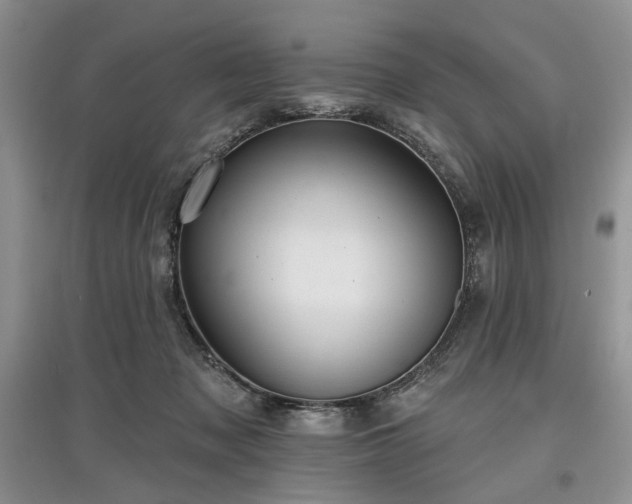 X0000097610317200803071455