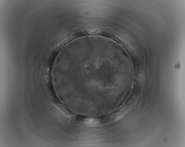 X0000097610319200803071455