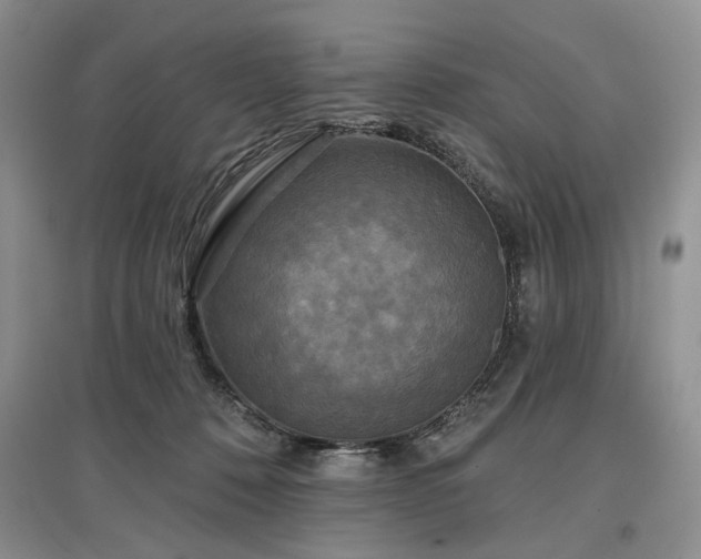 X0000097610320200803071455