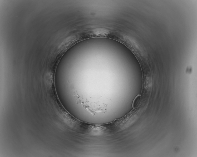 X0000097610321200803071455