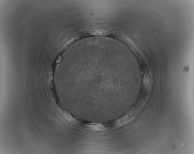 X0000097610322200803071455