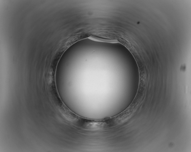 X0000097610323200803071455