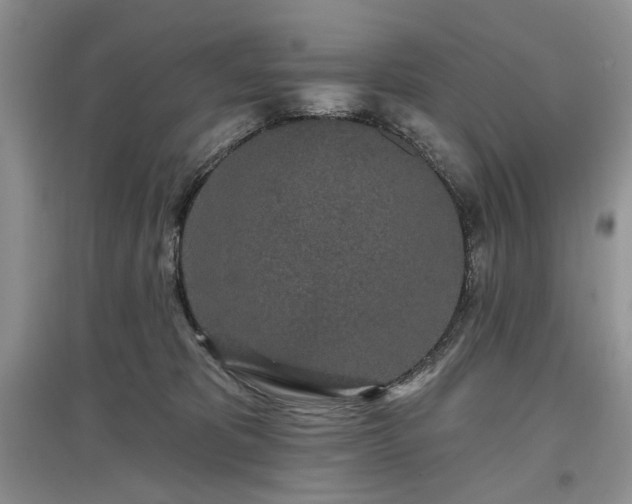 X0000097610325200803071455