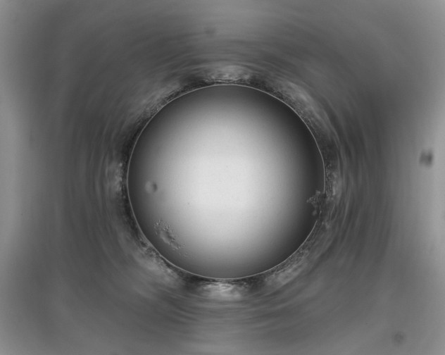 X0000097610326200803071455