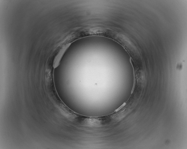 X0000097610327200803071455