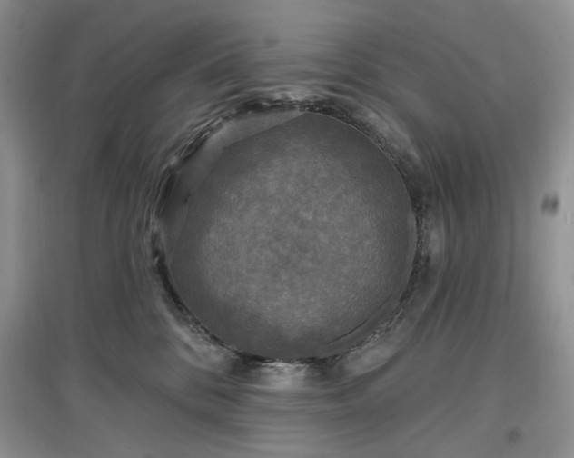 X0000097610328200803071454