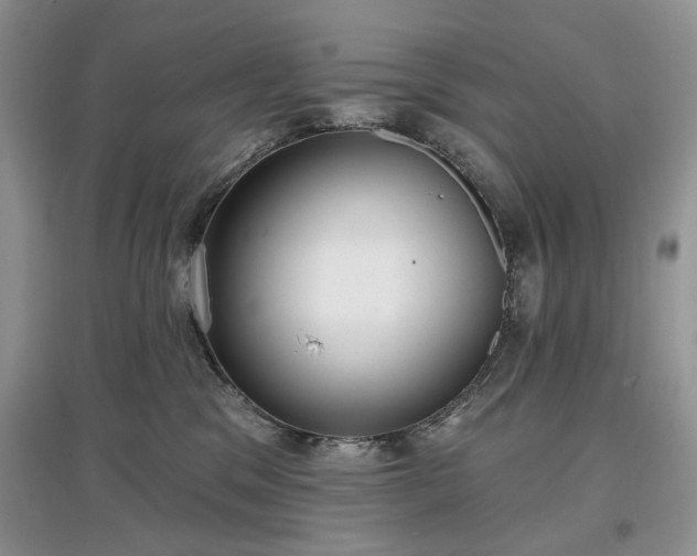 X0000097610329200803071454