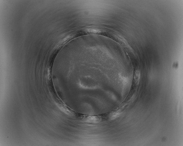 X0000097610330200803071454