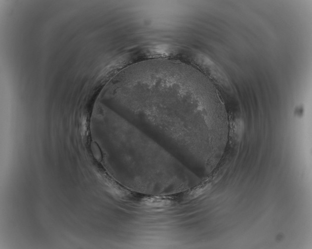 X0000097610331200803071454