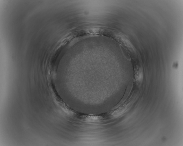 X0000097610332200803071454