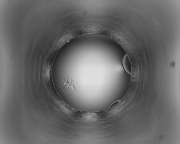 X0000097610334200803071454