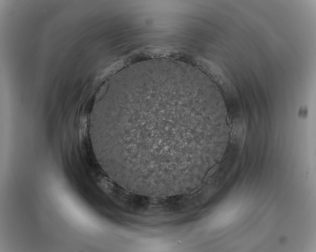 X0000097610335200803071454