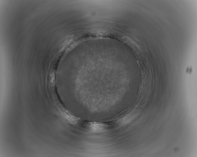 X0000097610336200803071454