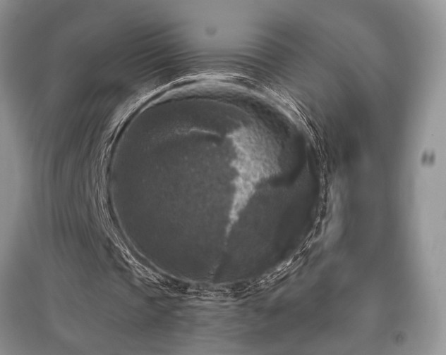 X0000097610337200803071454