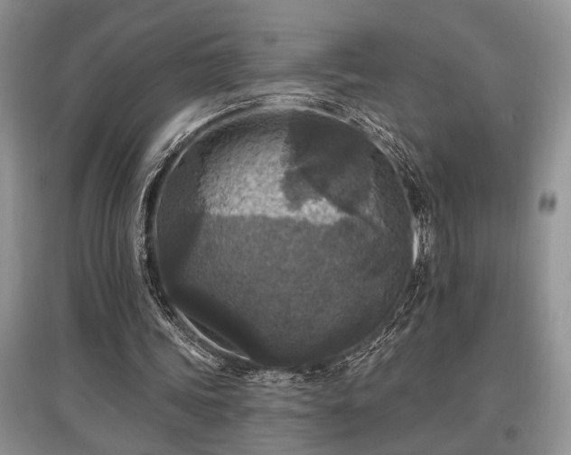 X0000097610339200803071454