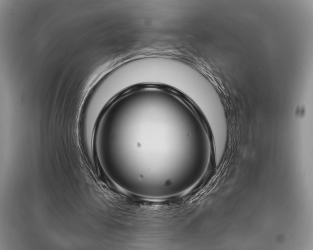 X0000097610340200803071454