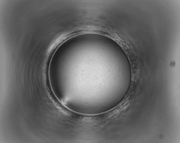 X0000097610341200803071454