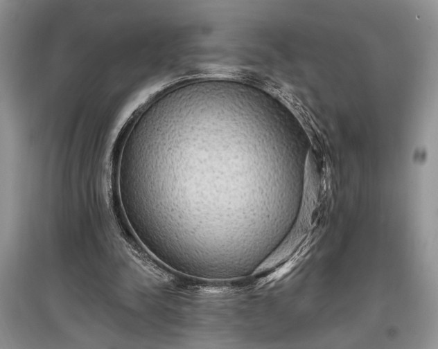 X0000097610342200803071454