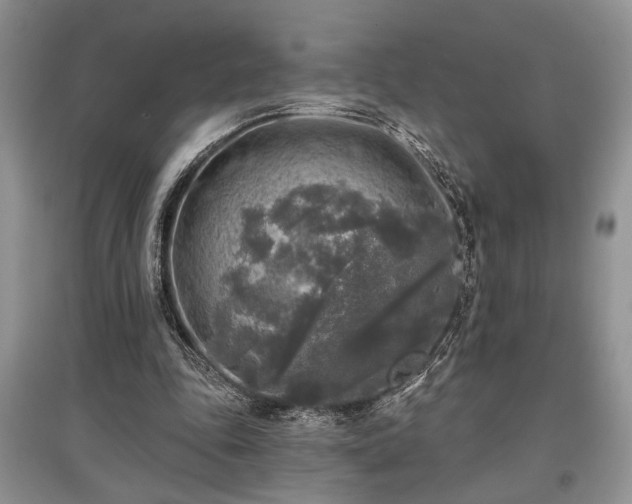 X0000097610343200803071454