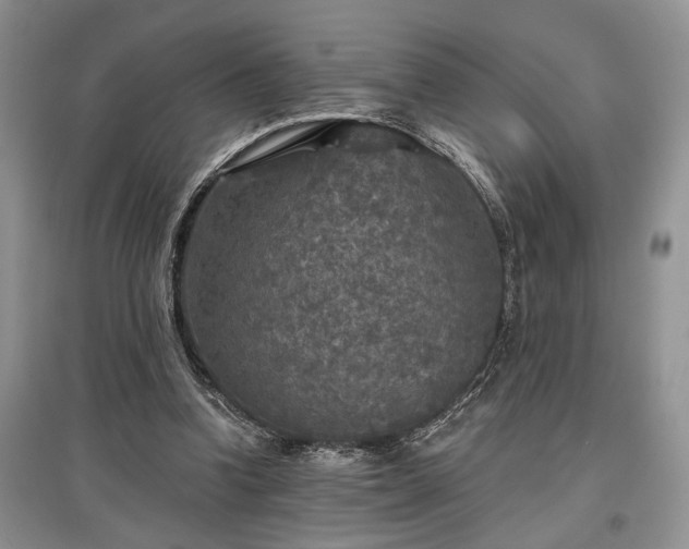 X0000097610346200803071454
