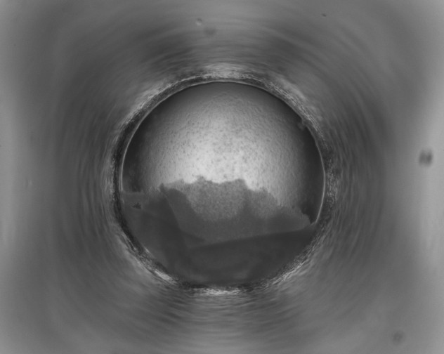 X0000097610347200803071454