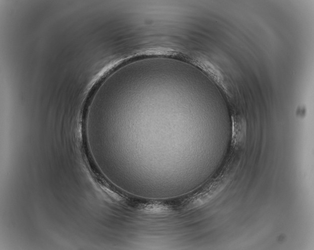 X0000097610348200803071454