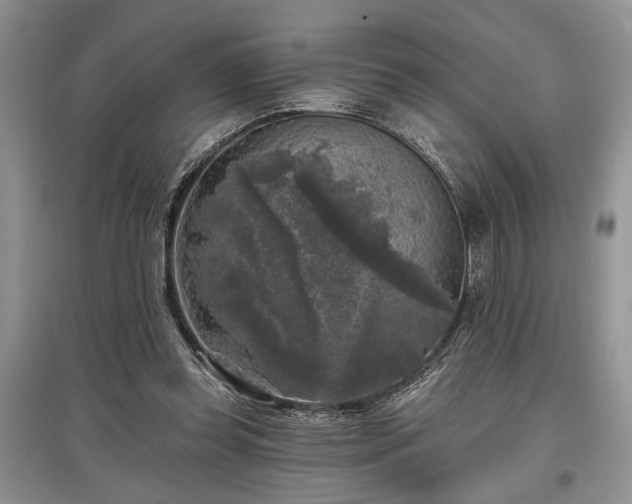 X0000097610349200803071454