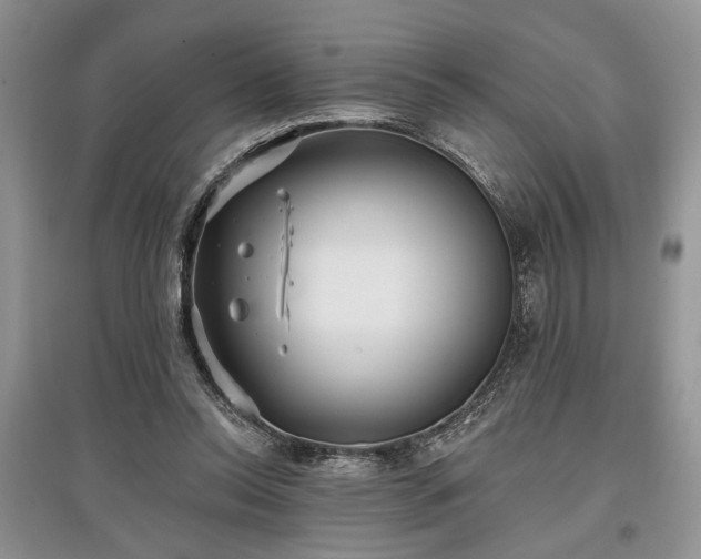 X0000097610350200803071454