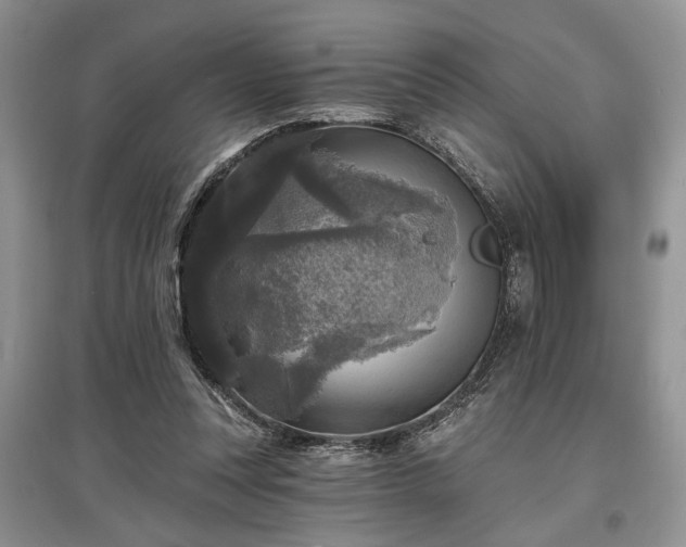 X0000097610351200803071454