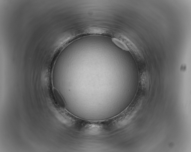 X0000097610352200803071454