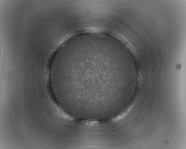 X0000097610355200803071454
