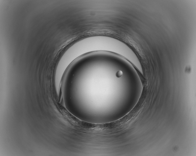X0000097610356200803071454