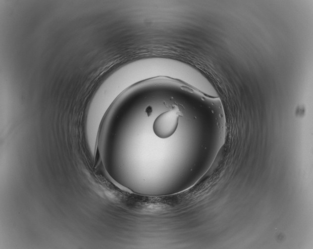 X0000097610360200803071454