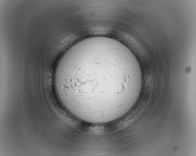 X0000097610362200803071454