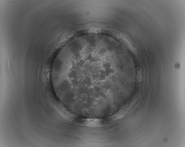 X0000097610363200803071454