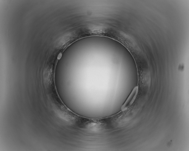 X0000097610364200803071454