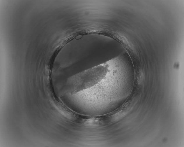 X0000097610366200803071454