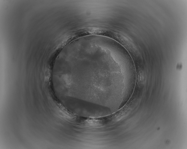 X0000097610367200803071454