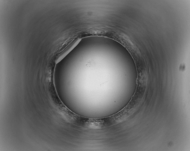 X0000097610368200803071454