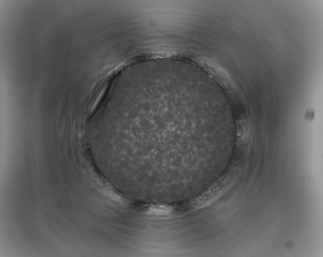 X0000097610369200803071454