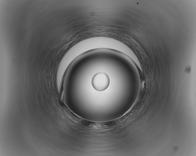 X0000097610372200803071454