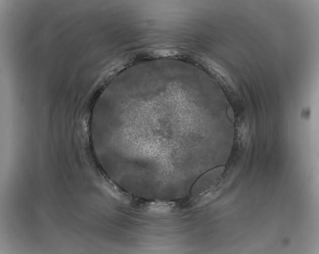 X0000097610373200803071454