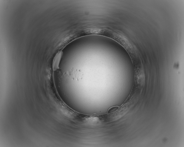 X0000097610374200803071454