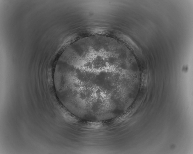 X0000097610377200803071454