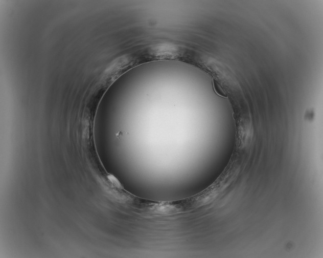 X0000097610379200803071454
