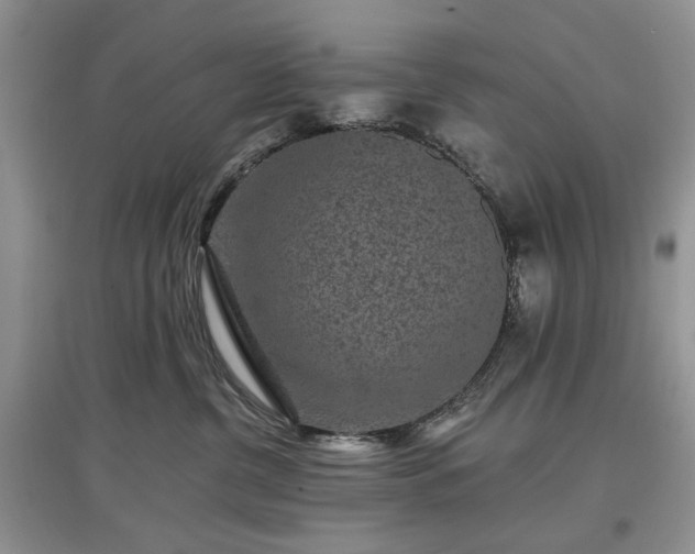 X0000097610380200803071454
