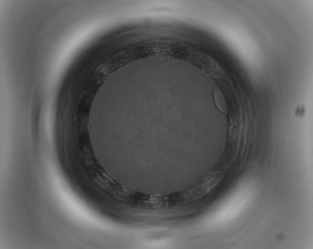 X0000097610383200803071454