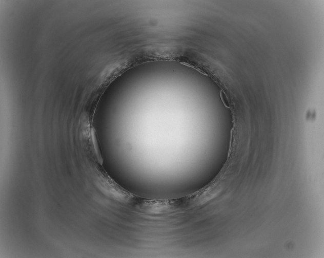 X0000097610384200803071454