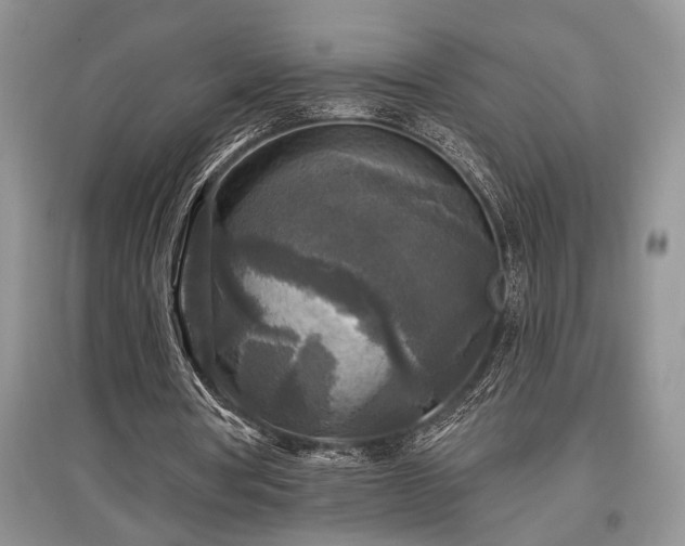 X0000097610386200803071454
