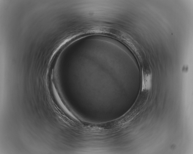 X0000097610387200803071454